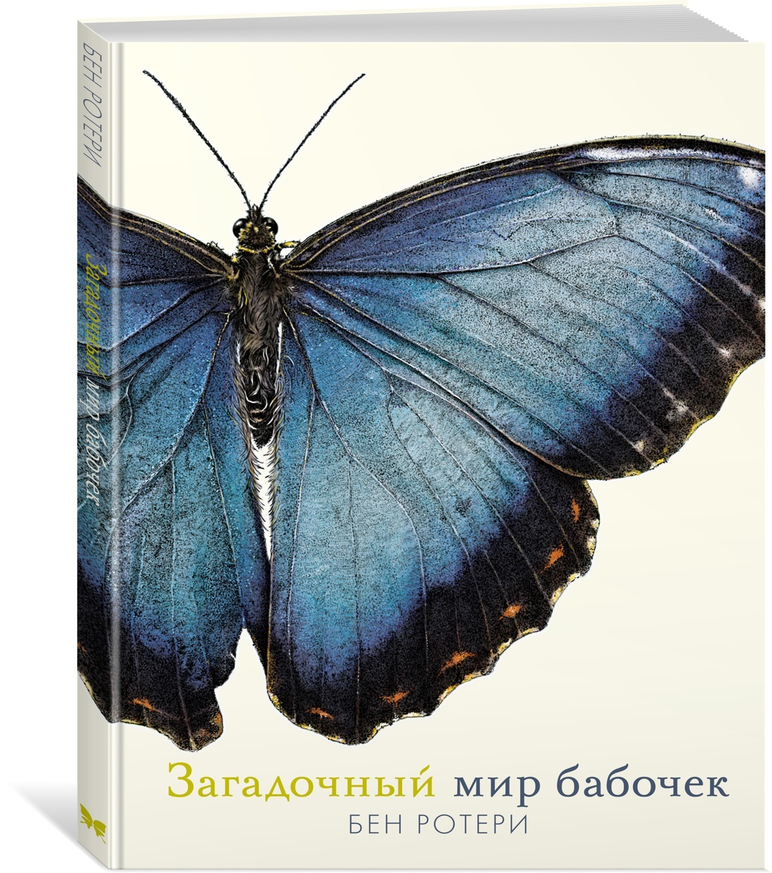 Загадочный мир бабочек | Ротери Бен - купить с доставкой по выгодным ценам  в интернет-магазине OZON (600820714)