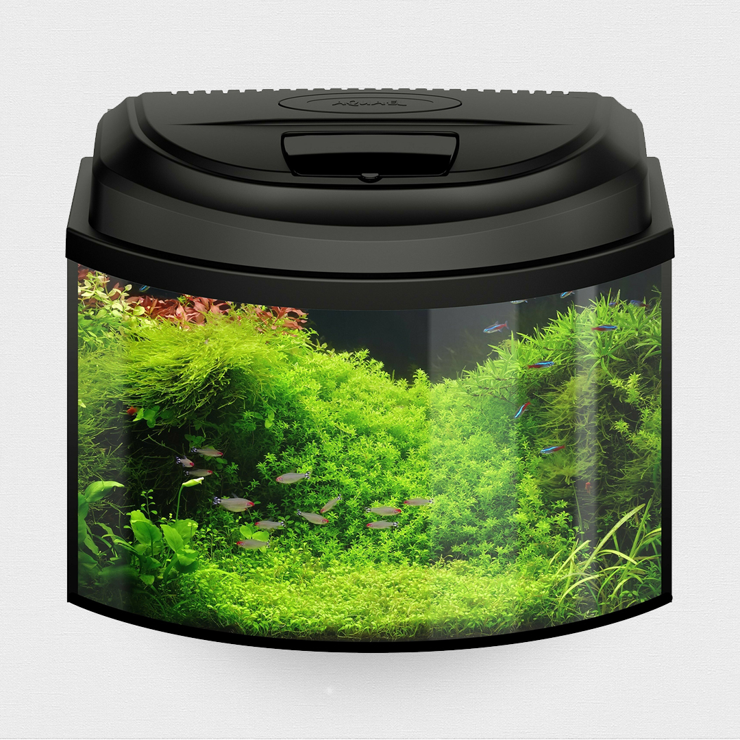 Аквариум AQUAEL AQUA4 KIDS 40 фигурный, 20л (черный) — купить в ...