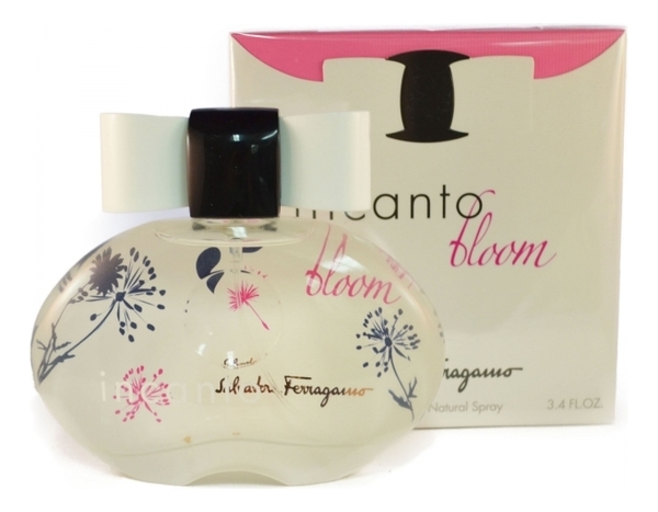 Incanto bloom clearance