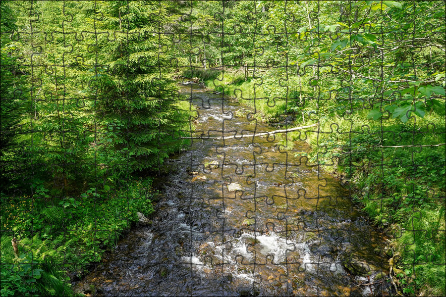 Источник реки. Источник в лесу. Лесной источник. Source of River.