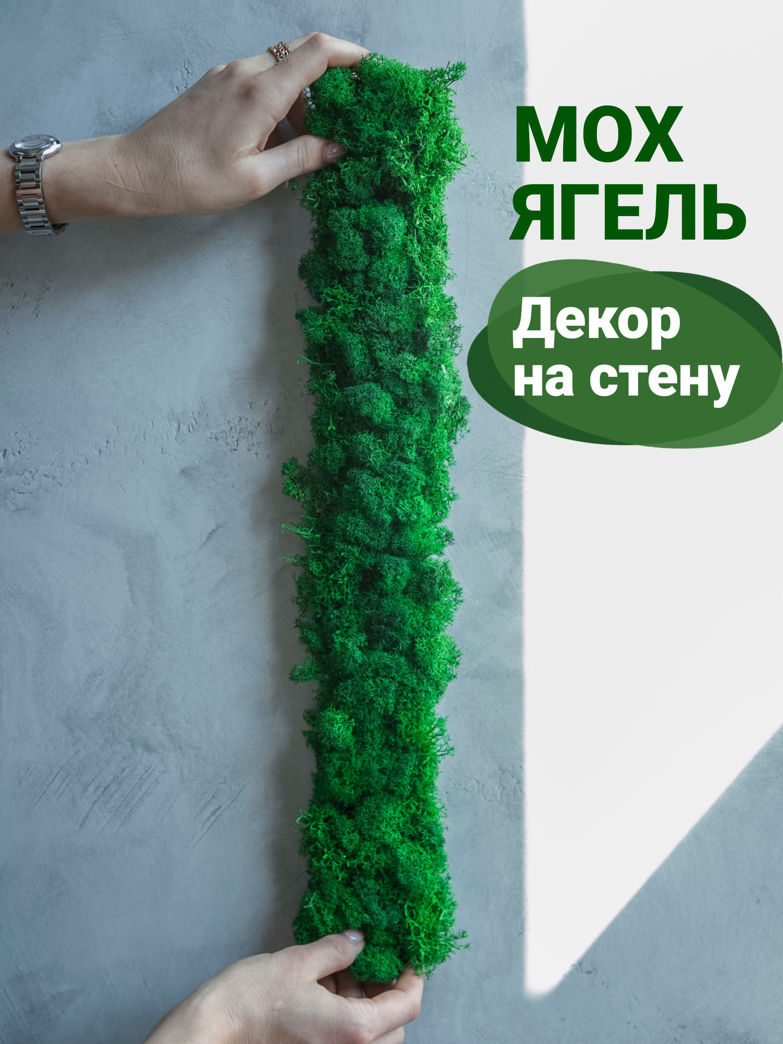 Характеристики Bloom Showroom Мох стабилизированный на скотче для ...