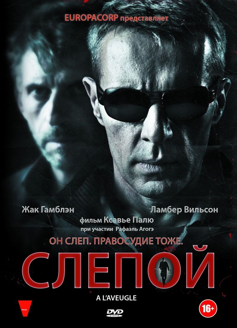 Слепой (DVD) - купить с доставкой по выгодным ценам в интернет-магазине  OZON (481599936)