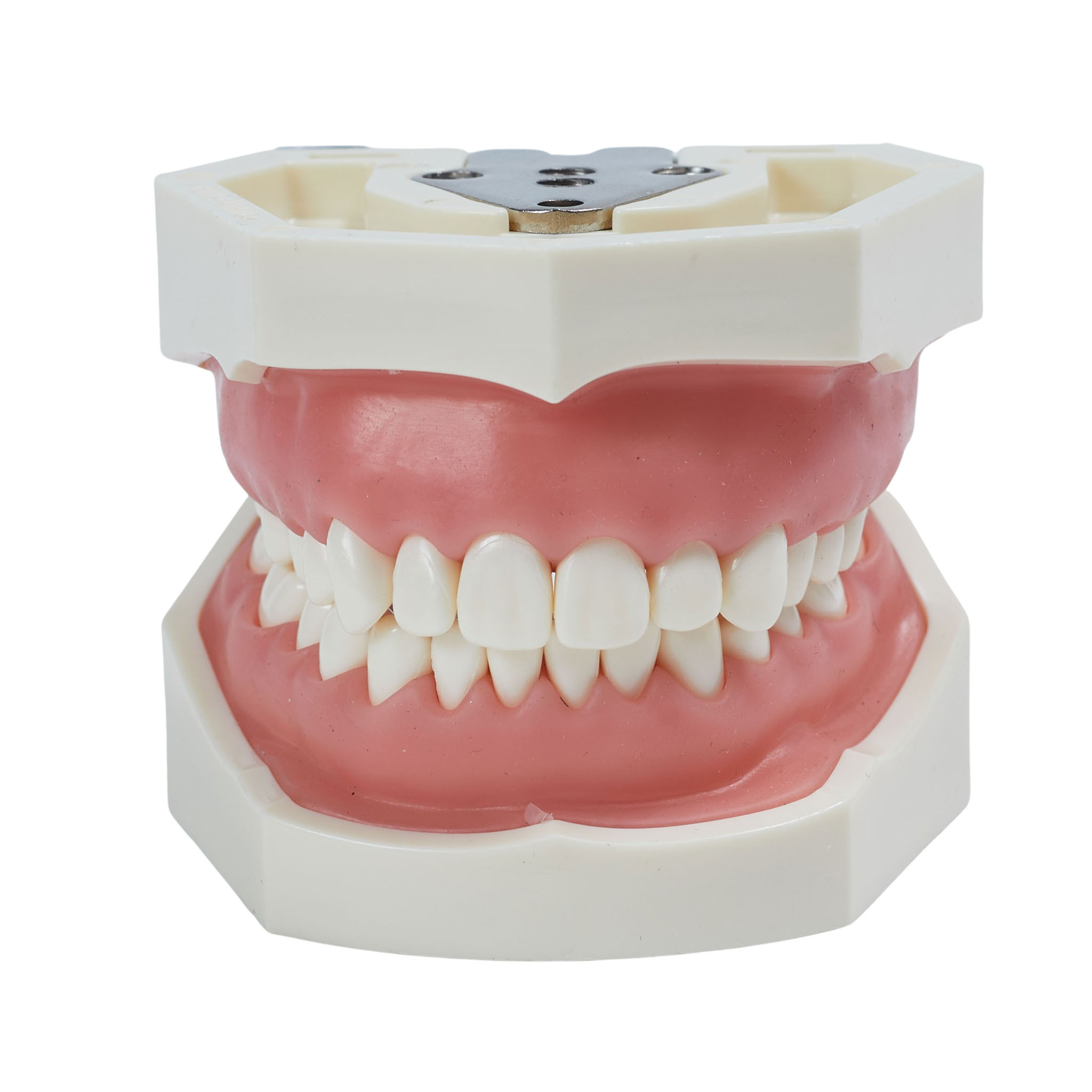 Мягкая десна. Контрольные стоматологические модели. Модель зубов. Мягкая десна сменная для модели, прозрачная списать. Модель зубов.