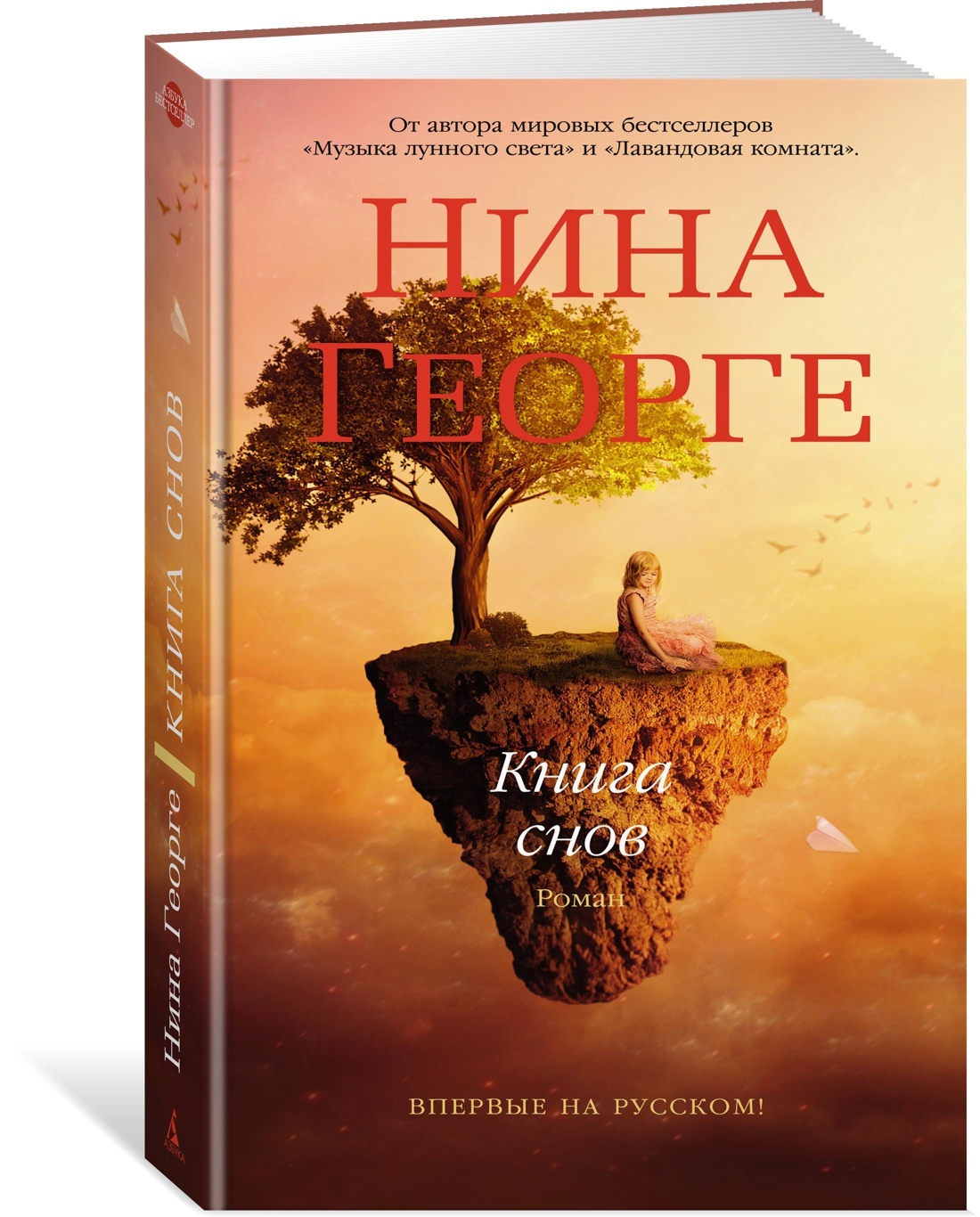 Книга снов. Георге Нина 