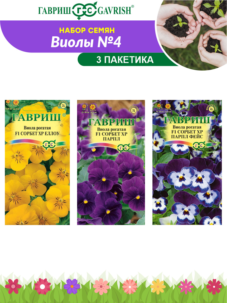 Семена Виолы Купить В Интернет Магазине