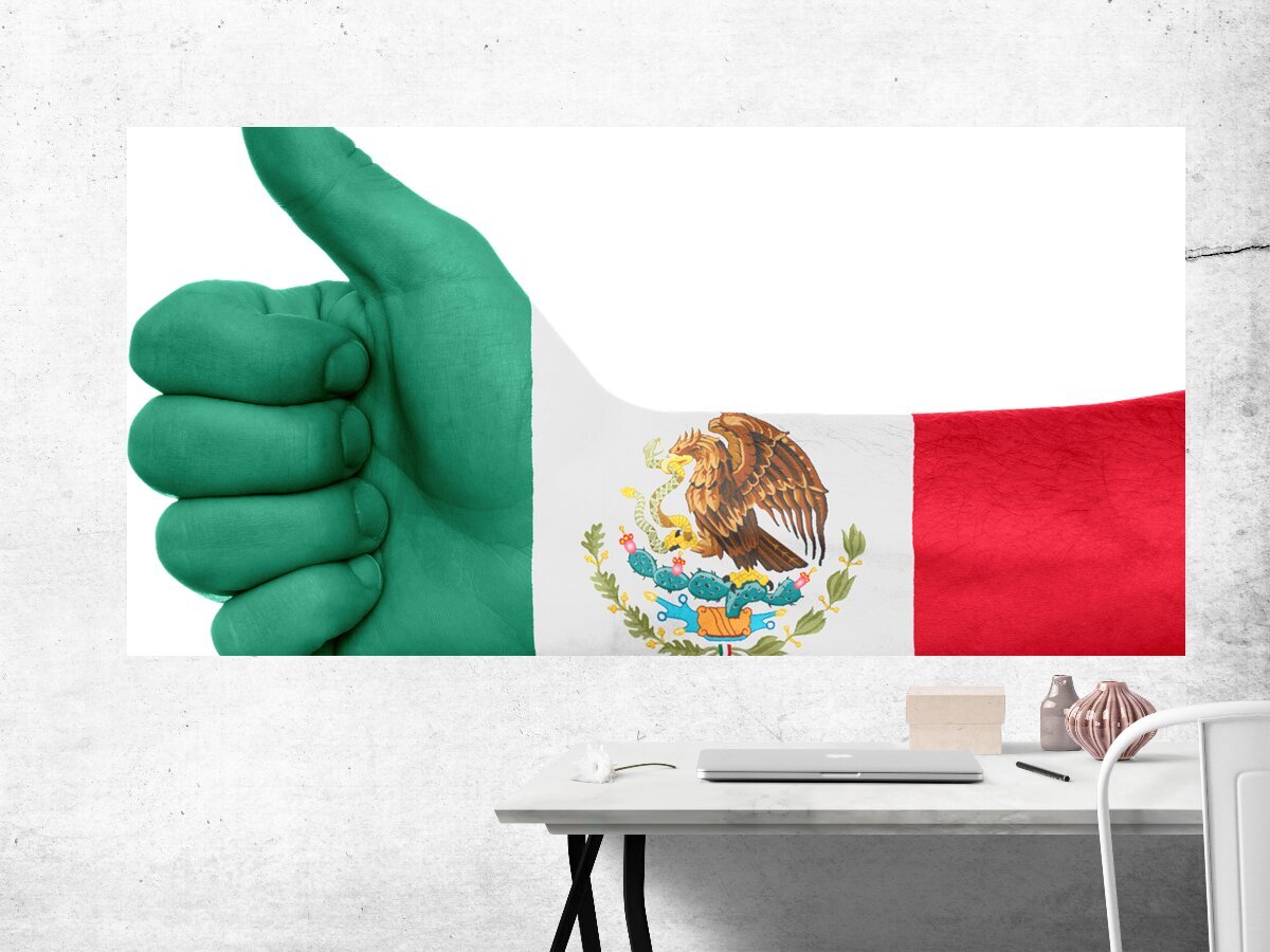 Первая мексиканская республика флаг. This is my mexico. This is my mexico. Флаг мексика. Мексиканский язык.