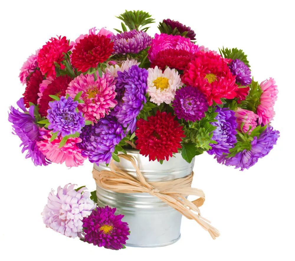 цветы картинки самые красивые букеты хризантем