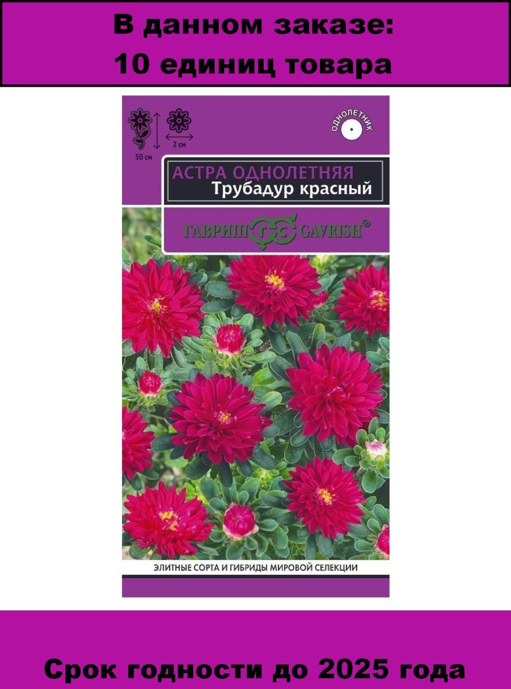 Изящные Цветы Хризелла Астра Дары природы Фотогалерея природы на greenmatrix31.r