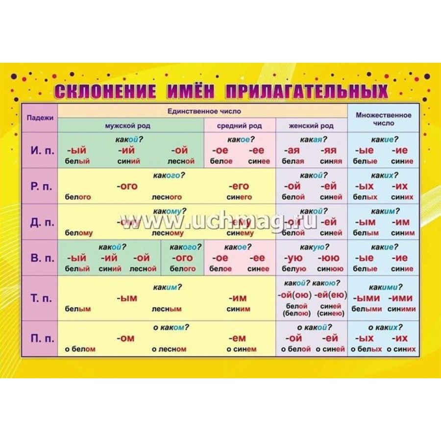 ФГОС. Склонение имен прилагательных/А4. Плакат. КПЛ-324. - купить с  доставкой по выгодным ценам в интернет-магазине OZON (700613923)
