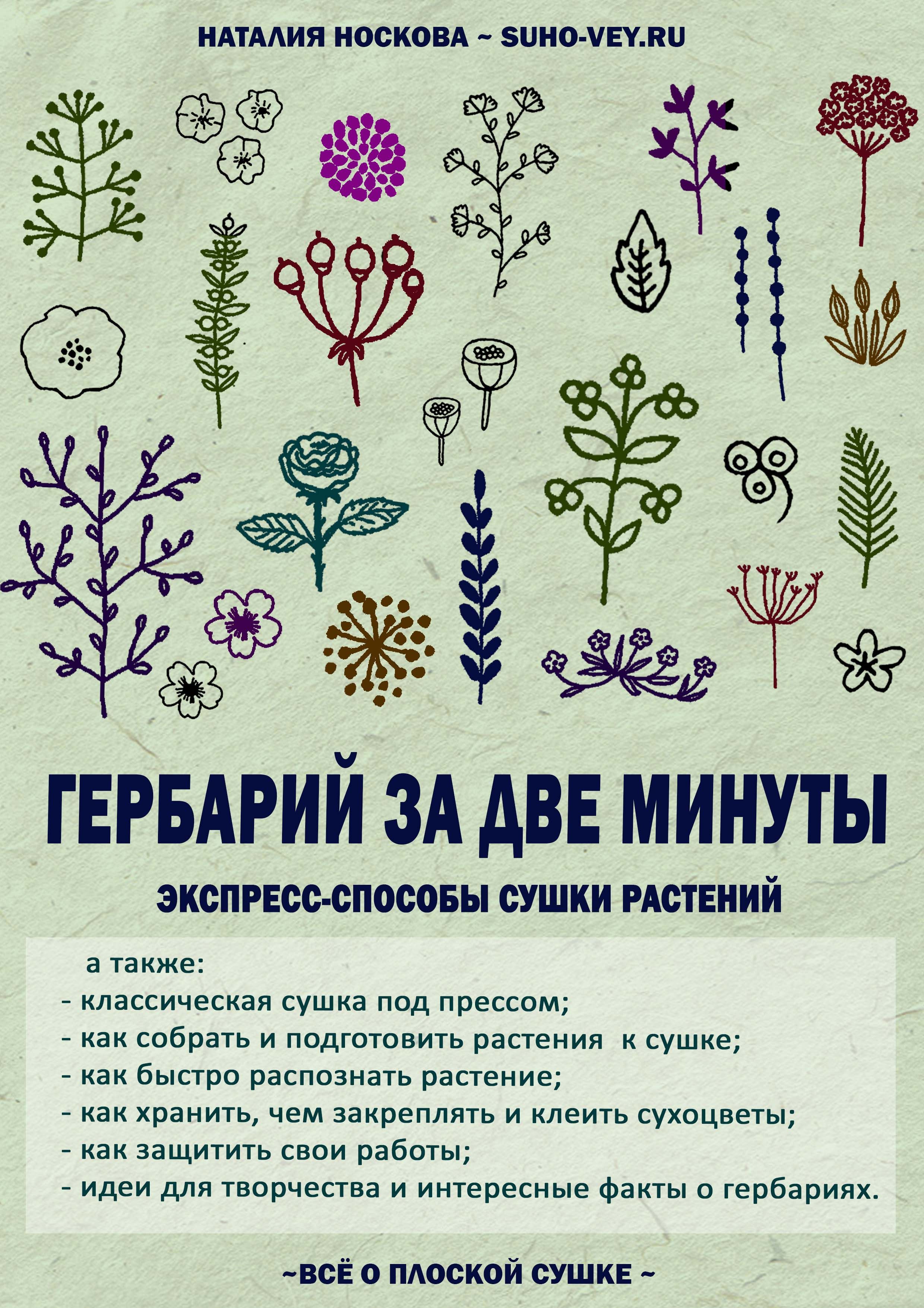 Гербарий Основные группы растений