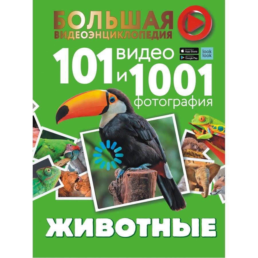 Энциклопедия. Животные. 101 видео и 1001 фотография. Хомич Е.О. | Хомич Елена Олеговна