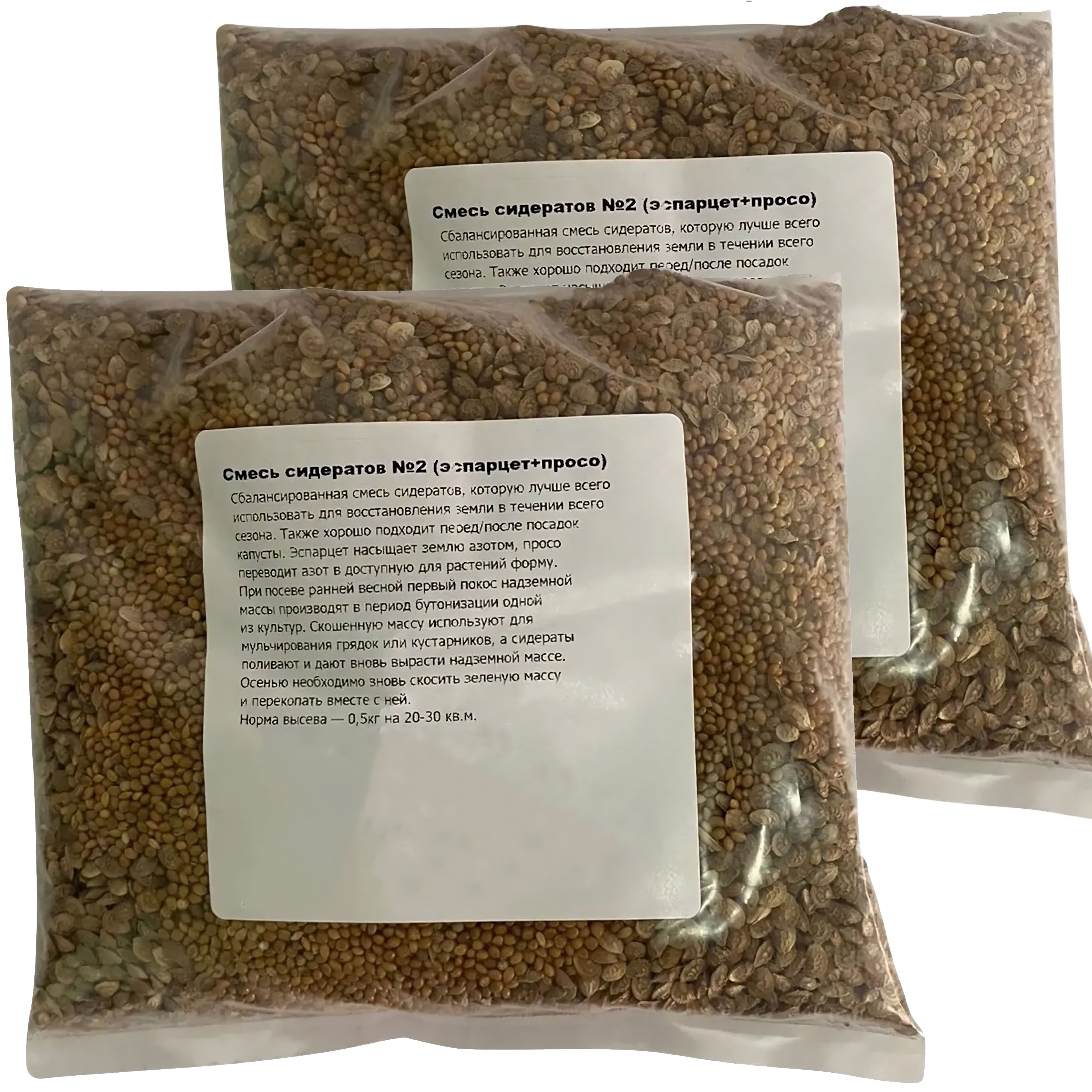 2 просо. пшено сорта. просо презентация. пшено ривьера. ежовник обыкновенный.