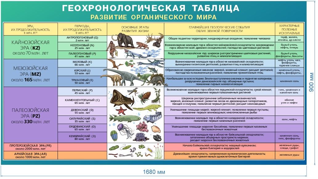 Этапы эволюции органического мира 7 класс презентация