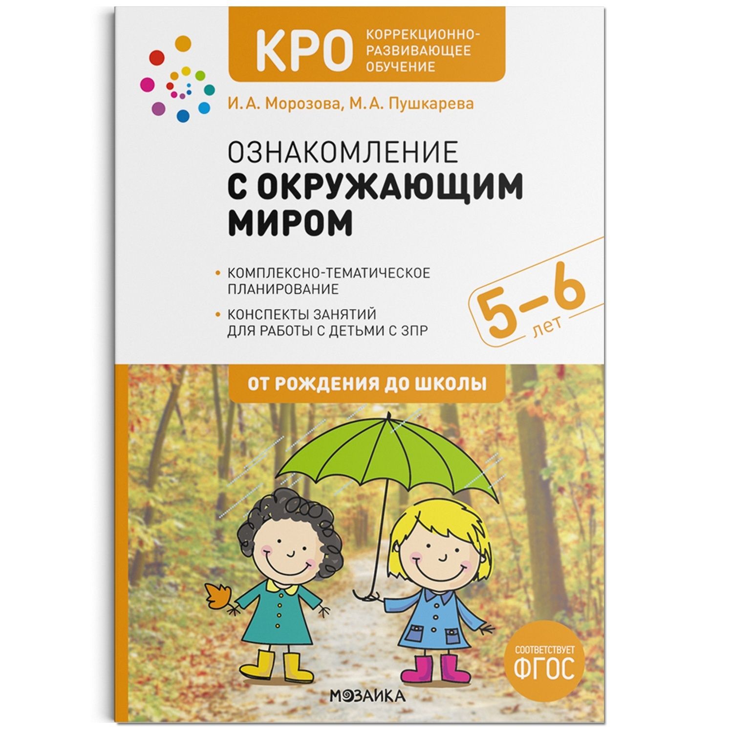 Конспект коррекционно развивающего занятия
