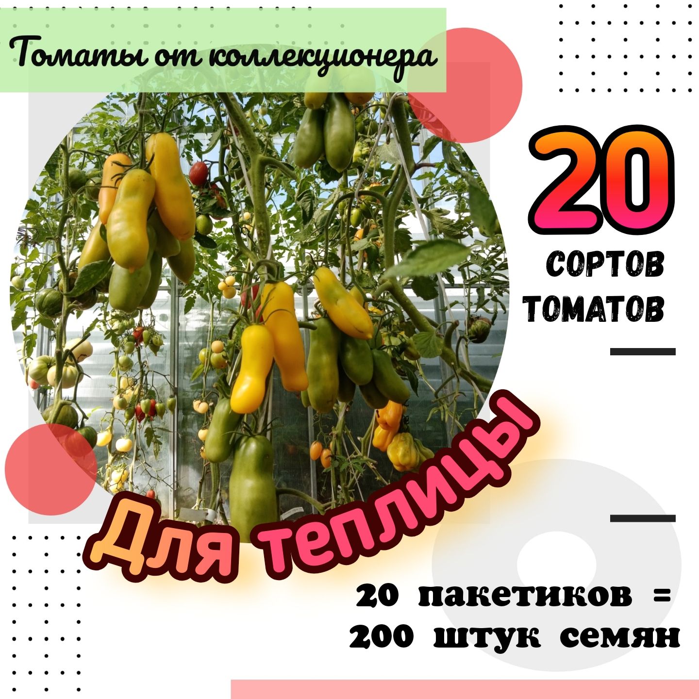 Бешеная Лошадь Томат Отзывы Фото