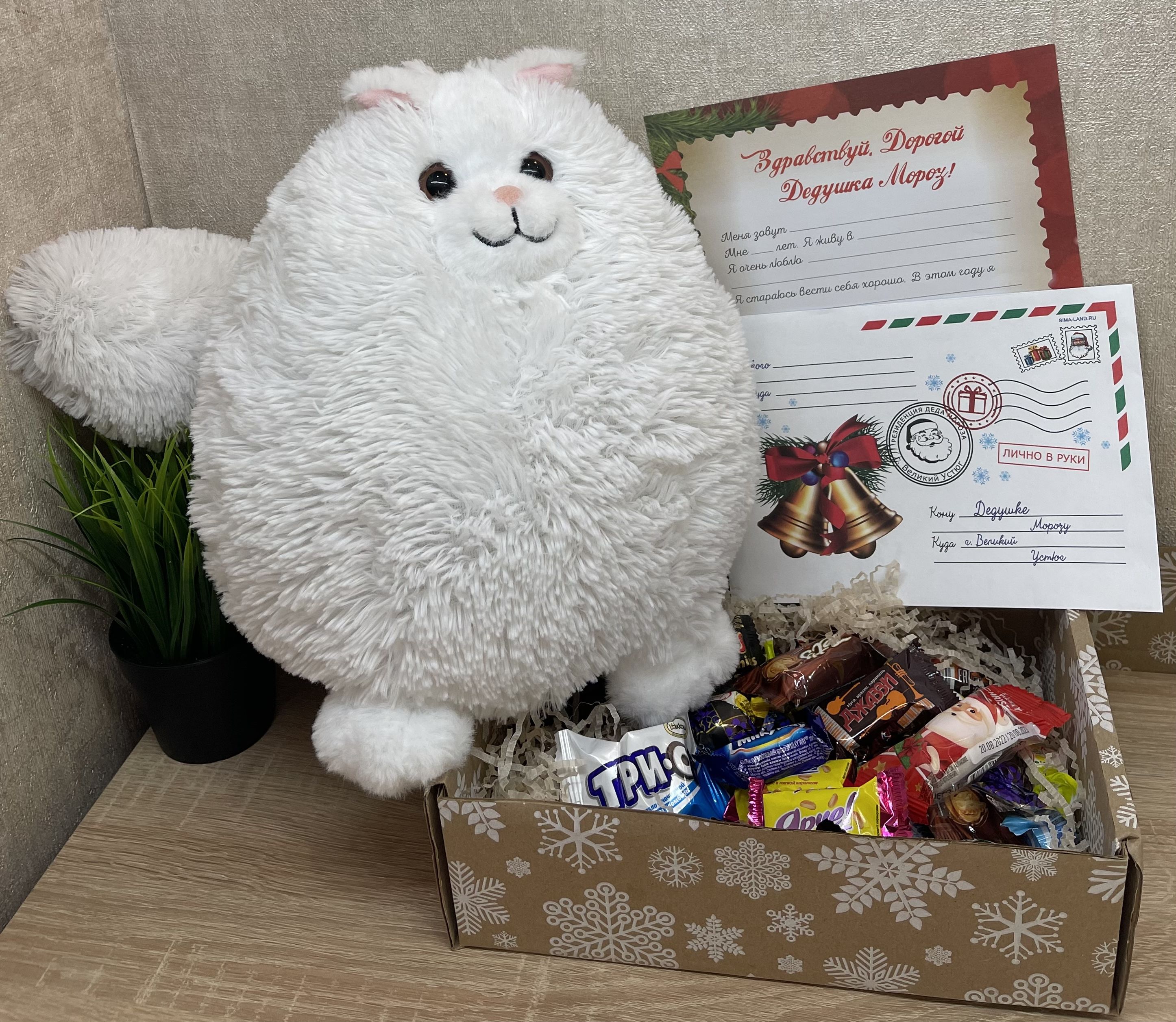 Котик развлекается. Грамм кот. Толстый кот на весах. Коты в 21 веке. Вес 1 гранулы сухого корма.