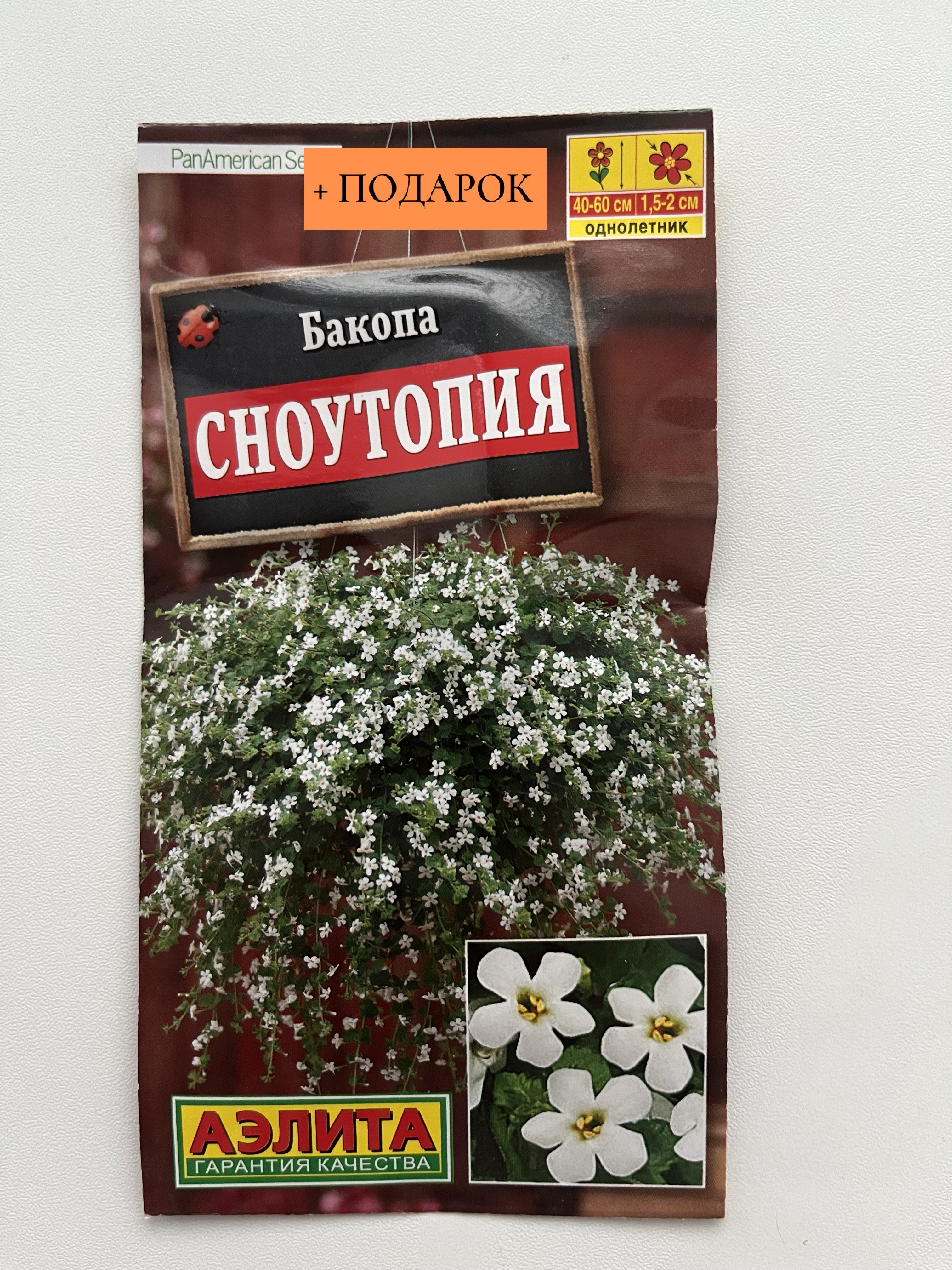 Бакопа Сноутопия