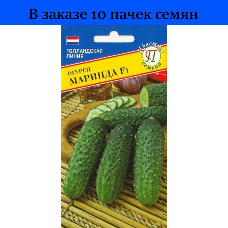 Сорт Огурцов Маринда Фото