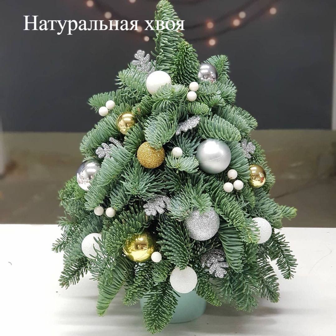 Ёлочка живая нарядная 40см