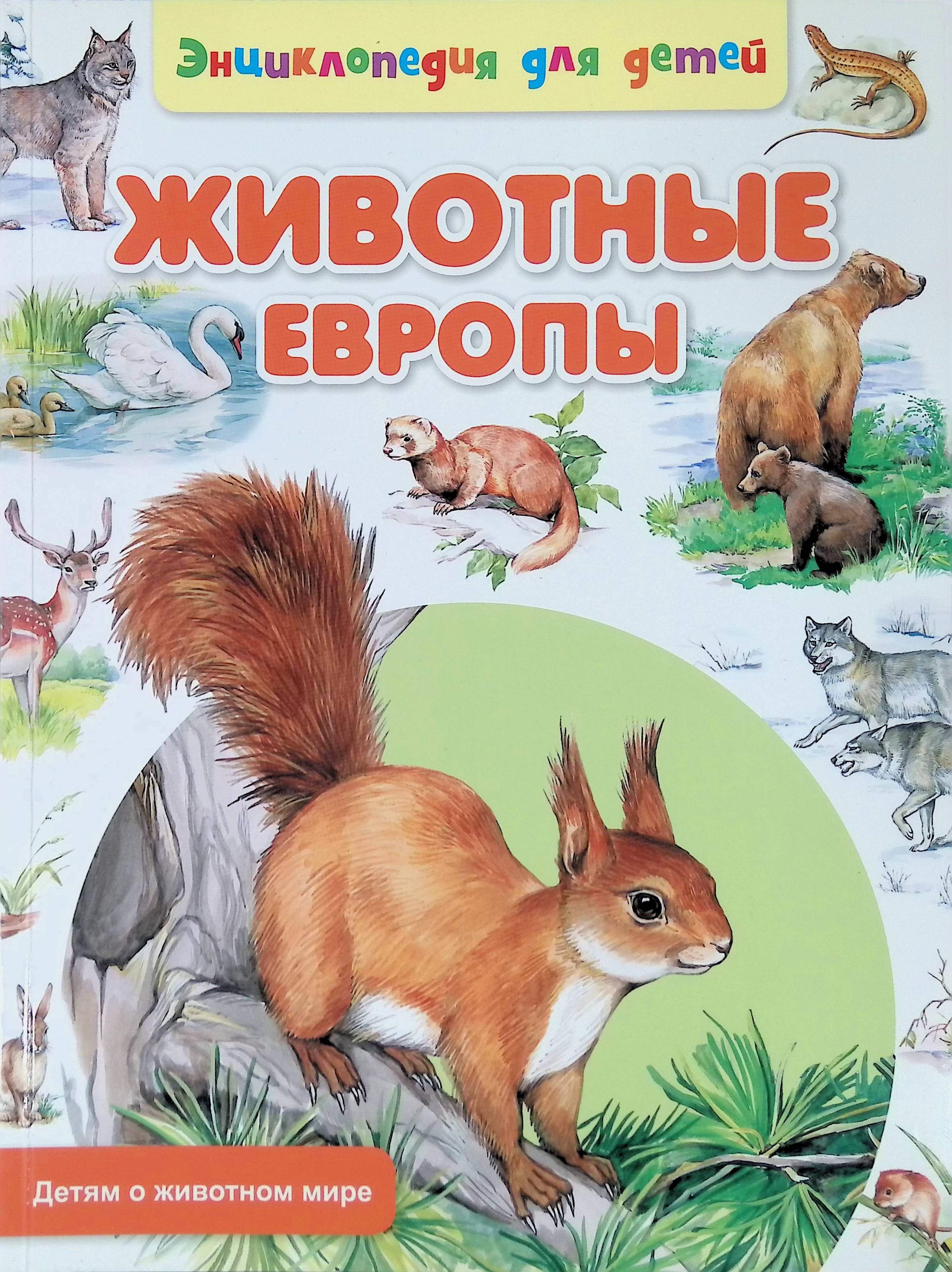 Энциклопедия животных. Животный мир европы. Книга животные. Карточки монтессори животные. Картинки животных европы.