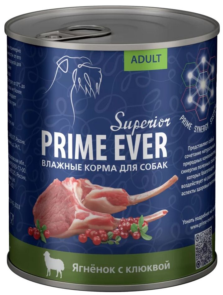 Prime ever для собак. Прайм Эвер корм для собак. Консервы Прайм Эвер для собак. Prime ever Superior. Prime ever Superior упаковка.