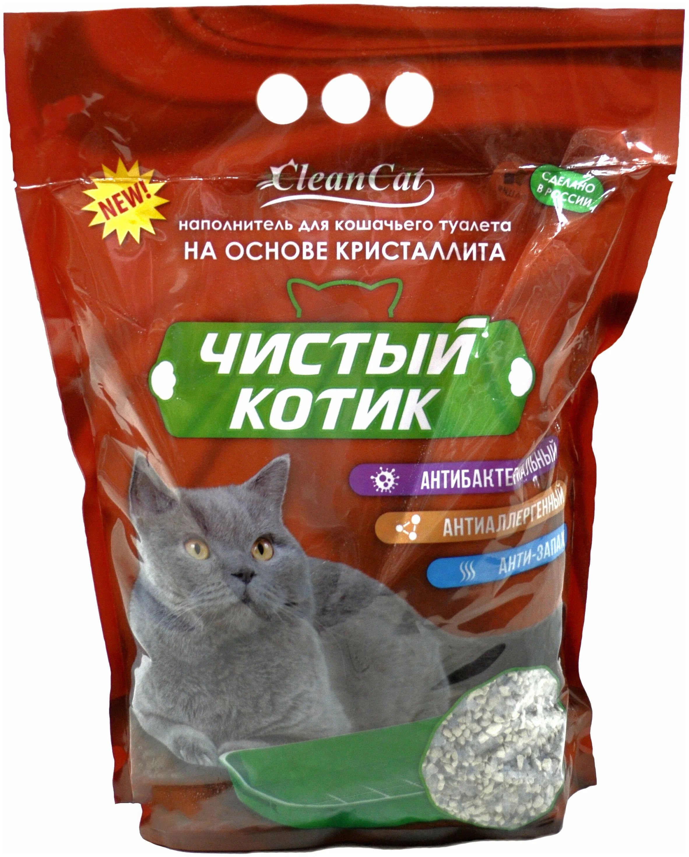 Чистый котик стерлитамак