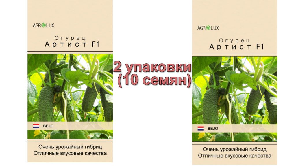 Артист Сорт Огурцов Отзывы Фото Описание