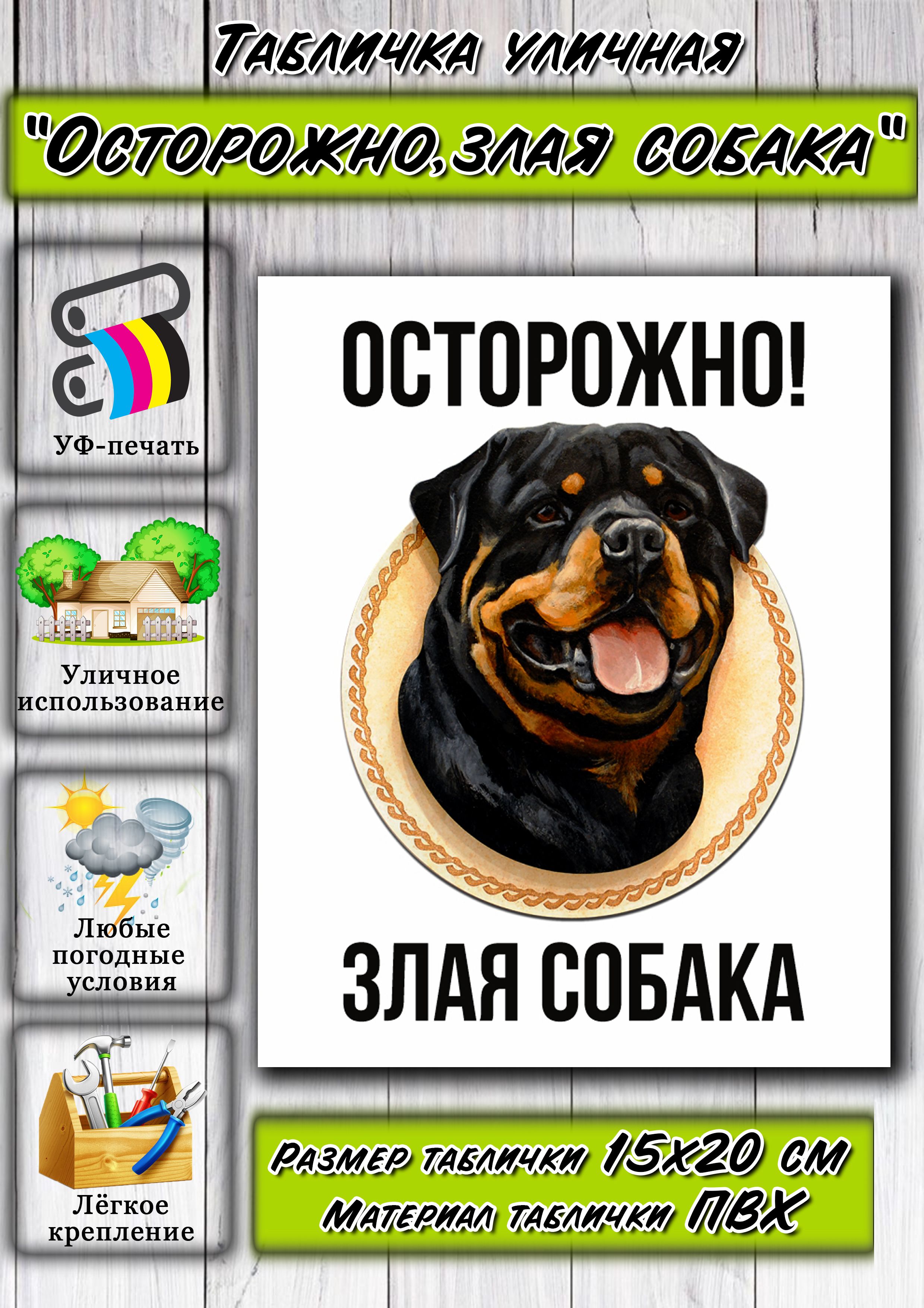 Табличка на дом Осторожно злая собака во дворе, 20 см, 15 см - купить в  интернет-магазине OZON по выгодной цене (832514355)