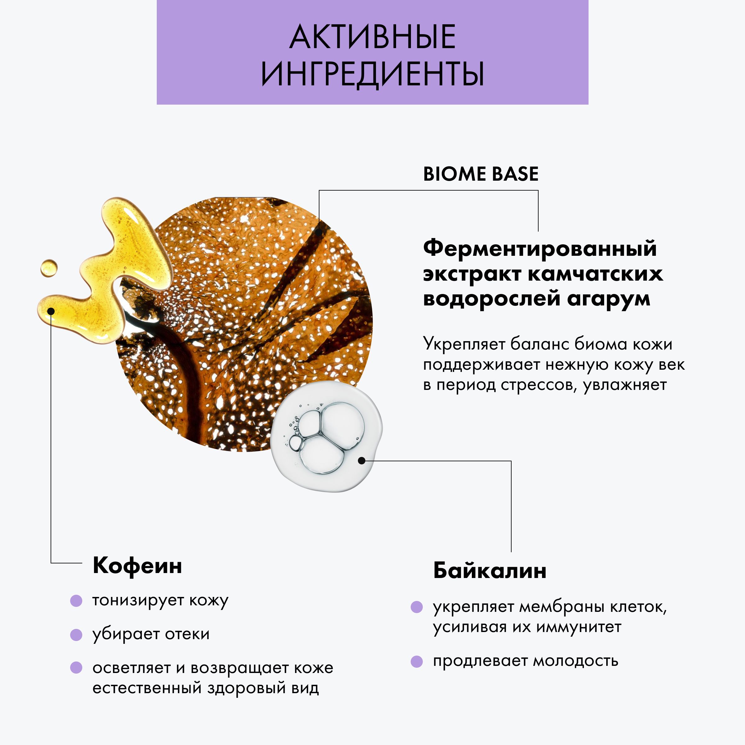 Лаб биом натура. Лаб биом натура