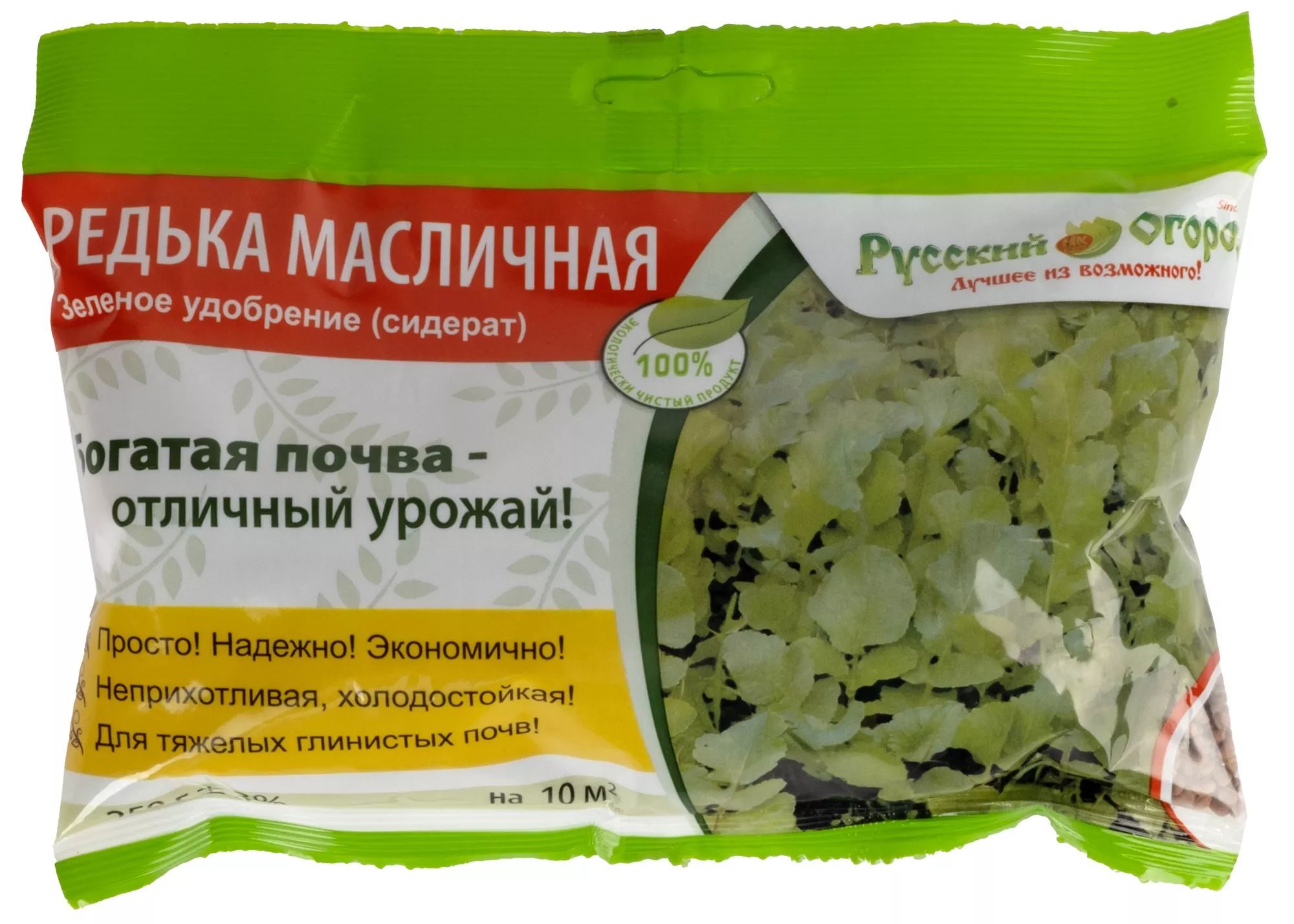 Масляная редька фото