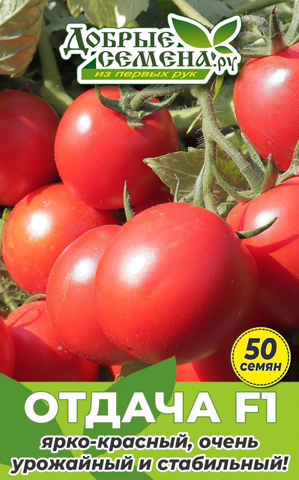 Сорт томатов осенний багрянец. Семена томата агрессор фото. Томат агрессор. Томат рутгерс. Помидоры бонапарт f1.