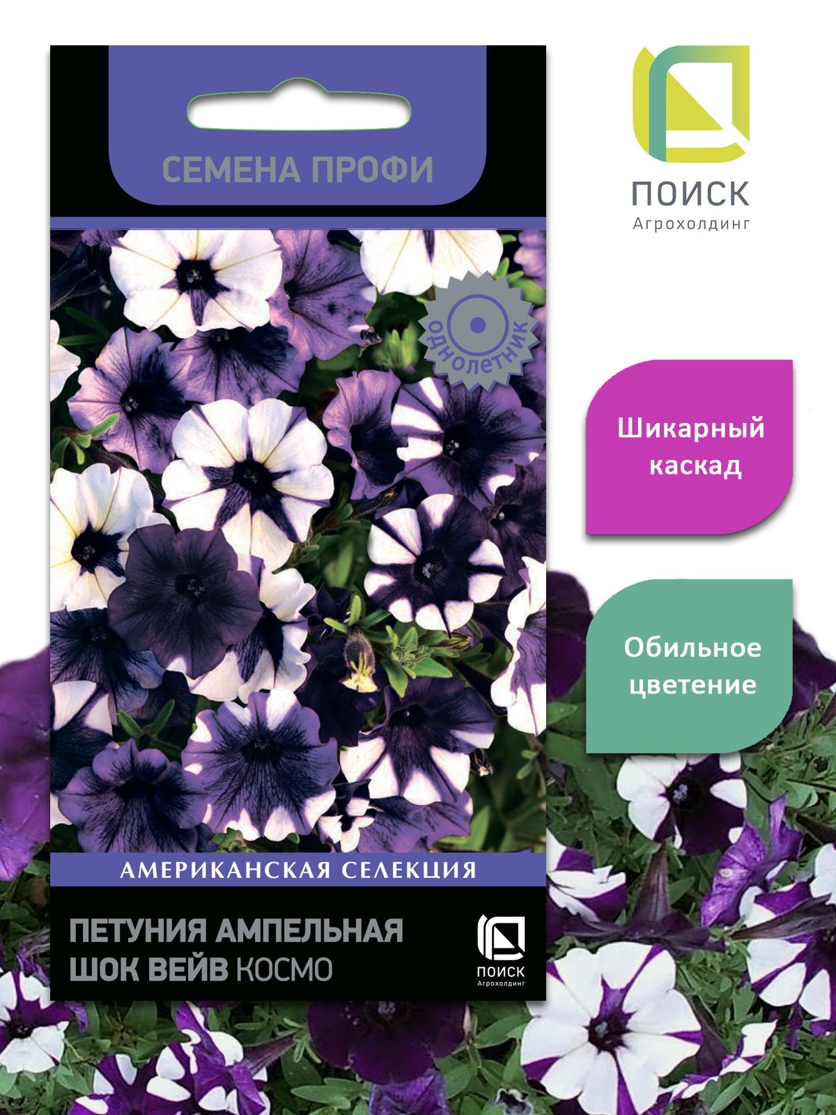 Космо петуния. Петуния ШОК Вейв Космо. Петуния ампельная f1 ШОК Вейв Пауэр микс (семена профи). Петуния амп ШОК Вейв f1 Космо. Семена профи петуния ШОК Вейв.