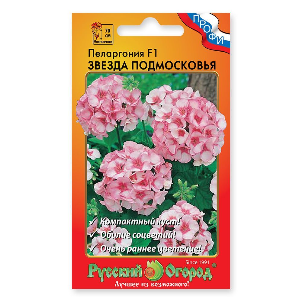 Пеларгония Звезда Подмосковья Фото