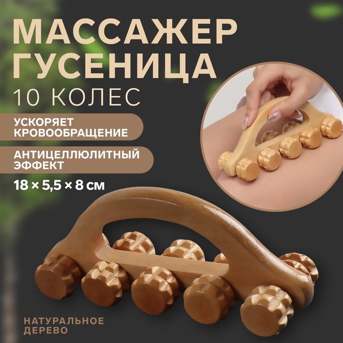 Массажёр Гусеница, 18 5,5 8 см, 10 колёс, деревянный