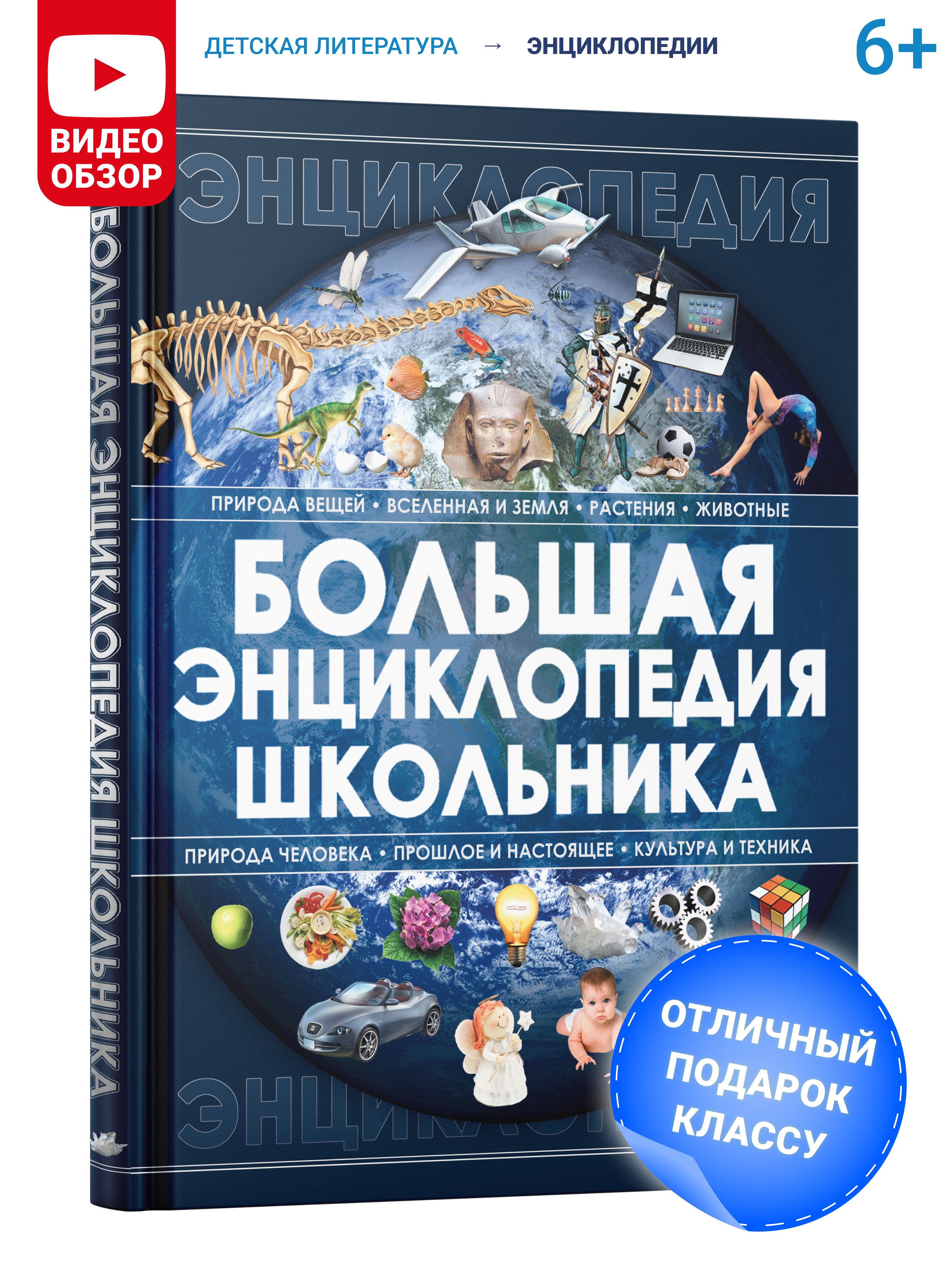 Книга для детей Большая энциклопедия школьника, развивающая,  познавательная. Подарок ребенку | Спектор Анна Артуровна - купить с  доставкой по выгодным ценам в интернет-магазине OZON (154942211)