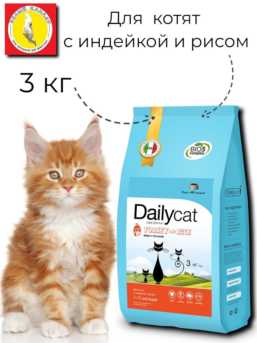 Daily cat корм. Daily cat корм для кошек. корм для кошек. дейли кэт корм для кошек. сухой корм дейли кэт.