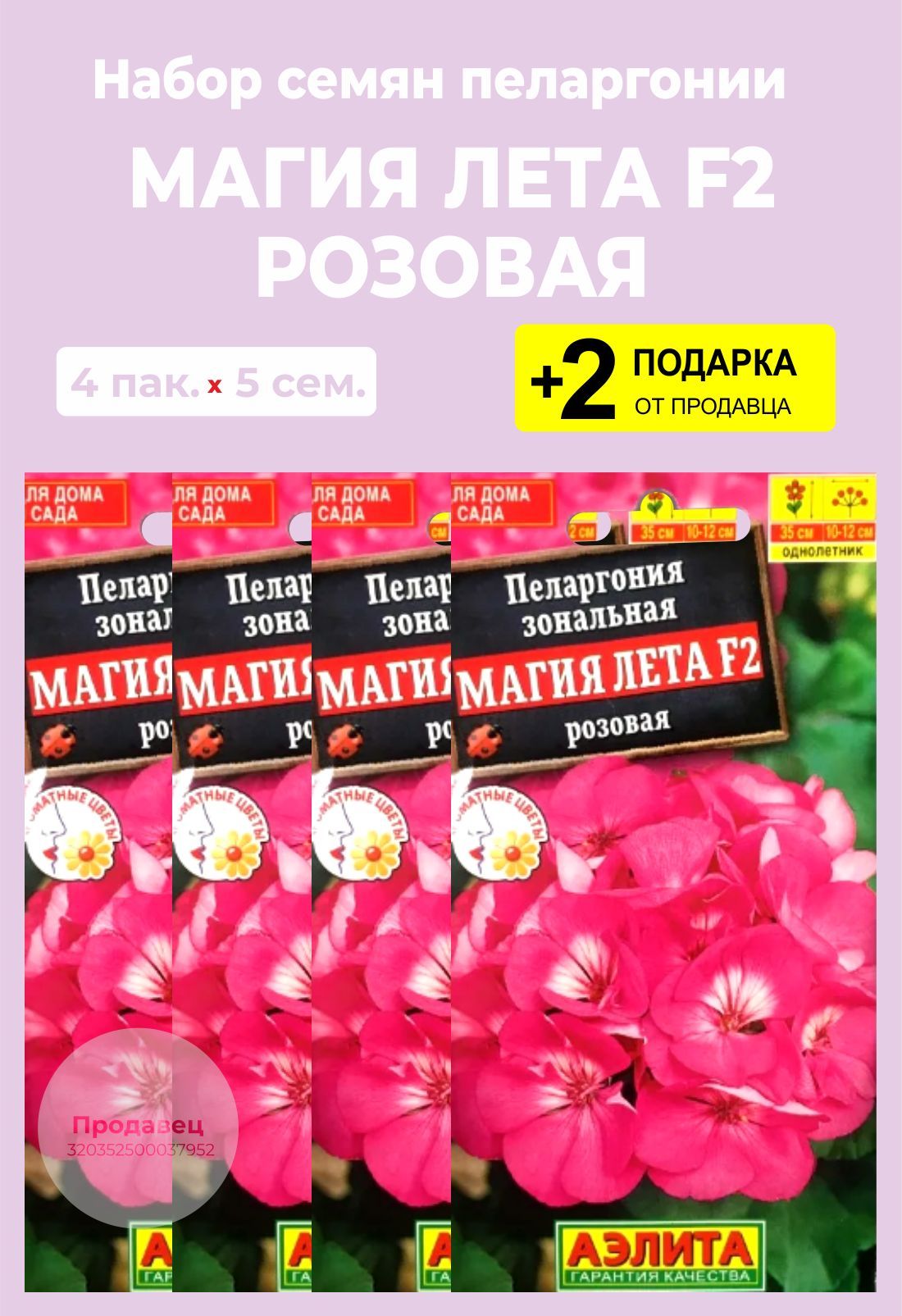 магия лета отзывы. пеларгония рафаэлла f1 алая. магия луны. пеларгония дансер ворвик. пеларгония магия лета f2 розовая.