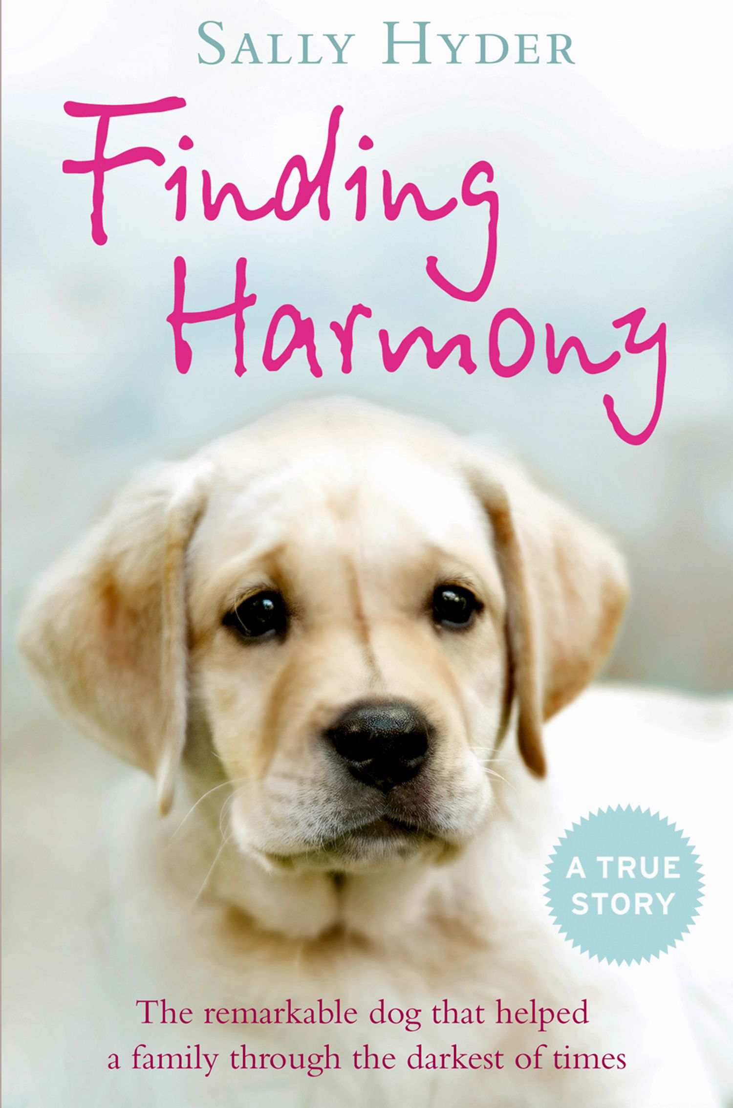 Finding harmony