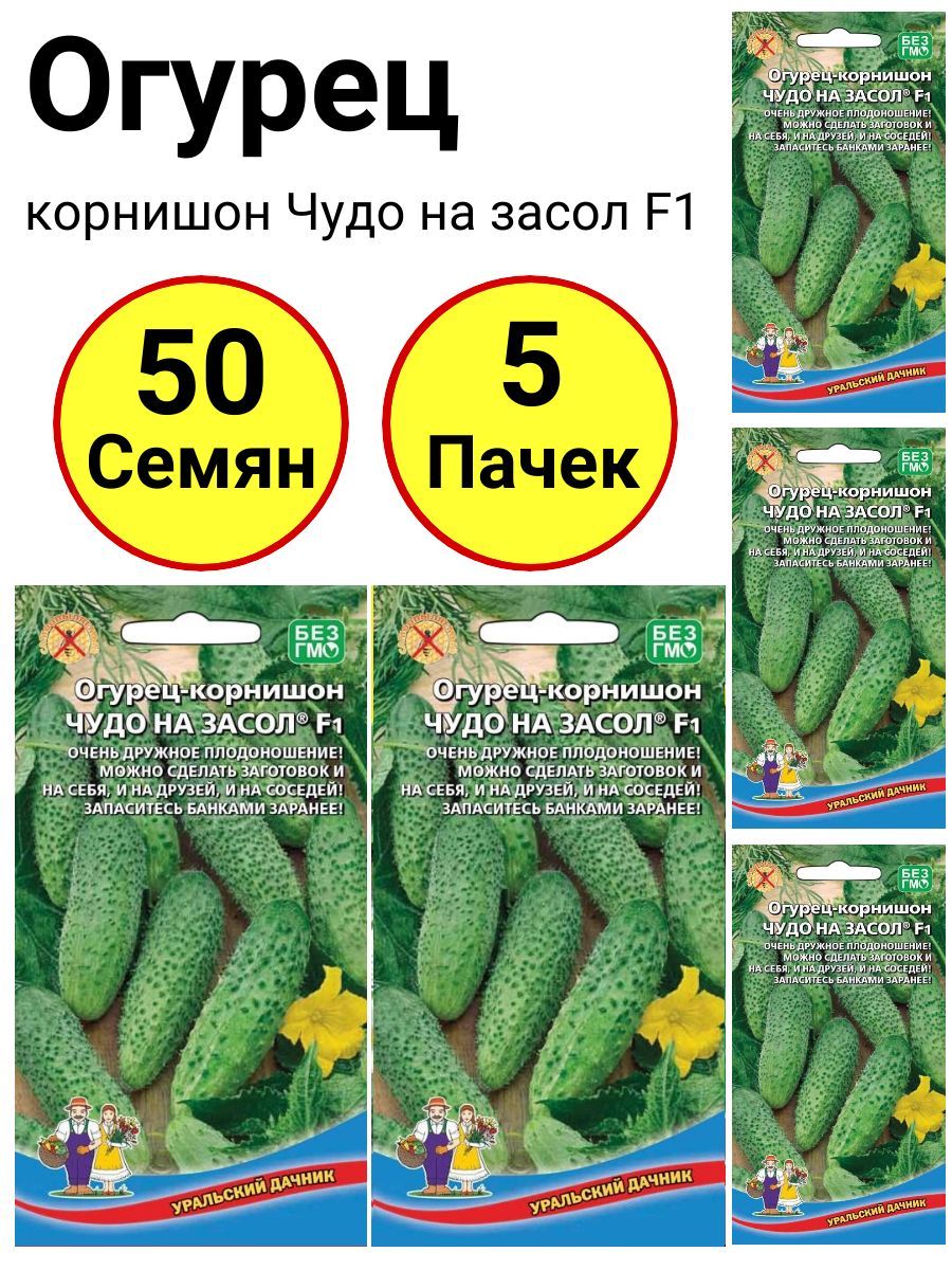 Семена Огурцы Уральский Дачник Купить