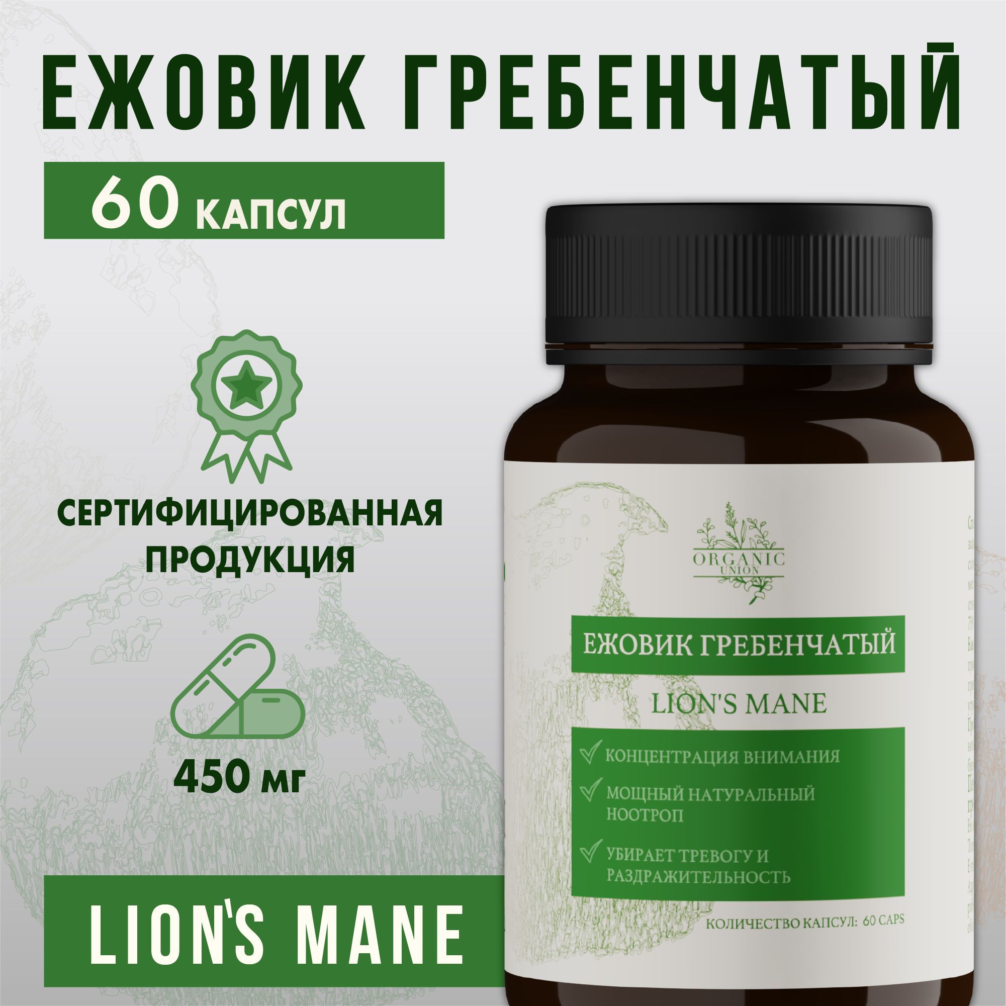 Ежевик Гребенчатый Lion S Mane Купить