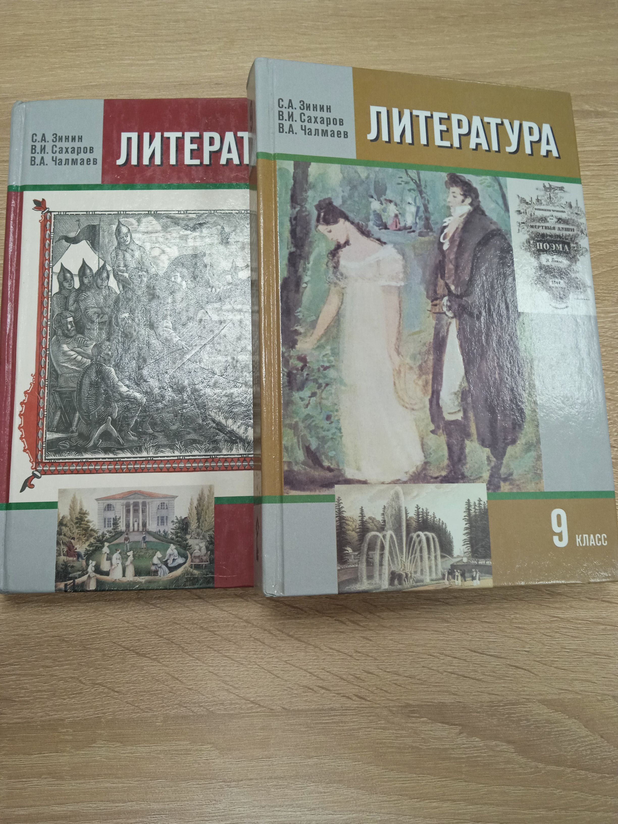 Литература 9 класс. Зинин С. А., Сахаров В. И. | Зинин С. - купить с  доставкой по выгодным ценам в интернет-магазине OZON (919751574)