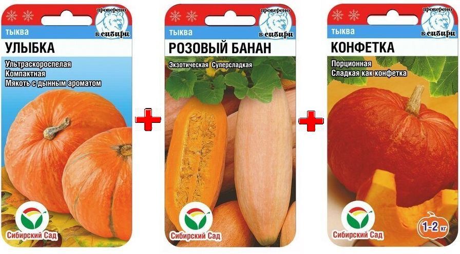 Тыква Банановая Сорт Фото Отзывы