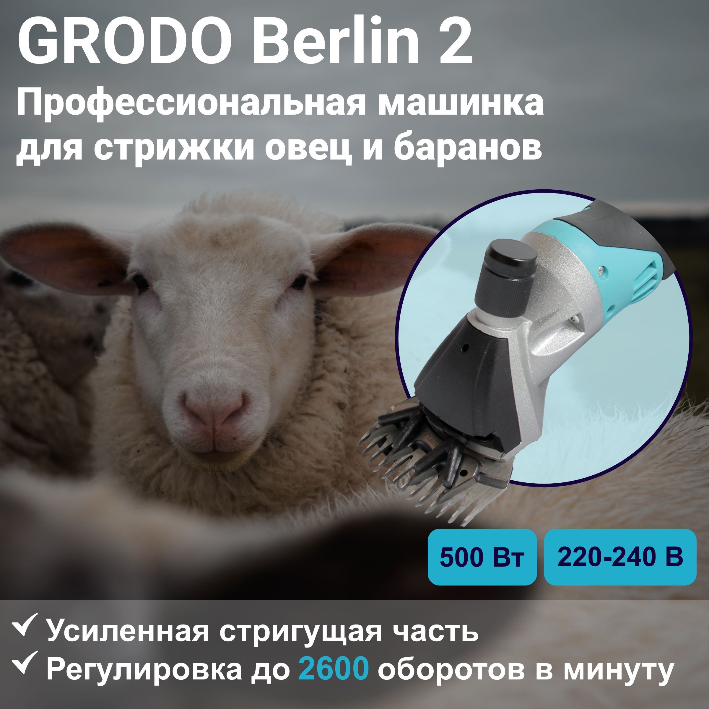 Профессиональная машинка для стрижки овец и баранов GRODO BERLIN 2 - купить  с доставкой по выгодным ценам в интернет-магазине OZON (743400130)