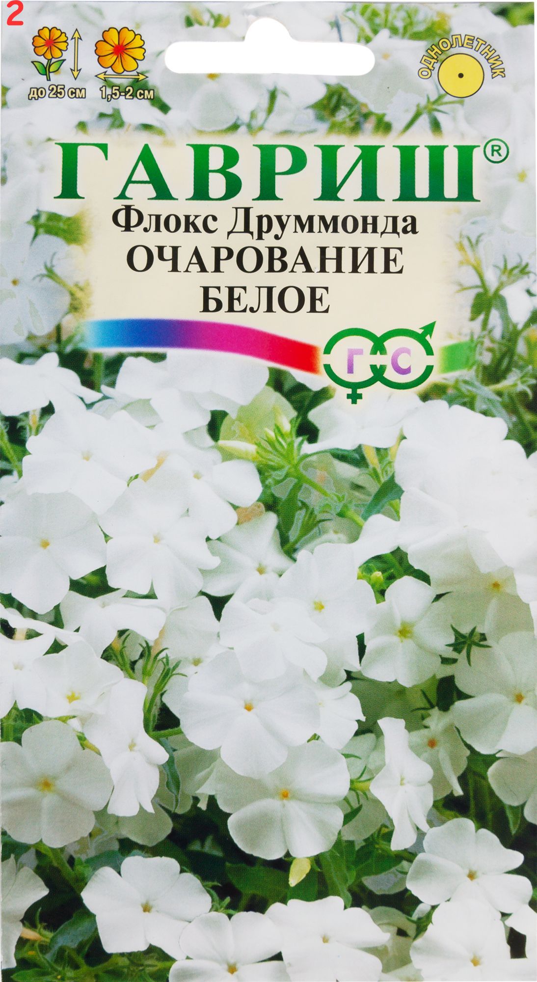 Флоксы Однолетние Купить Семена