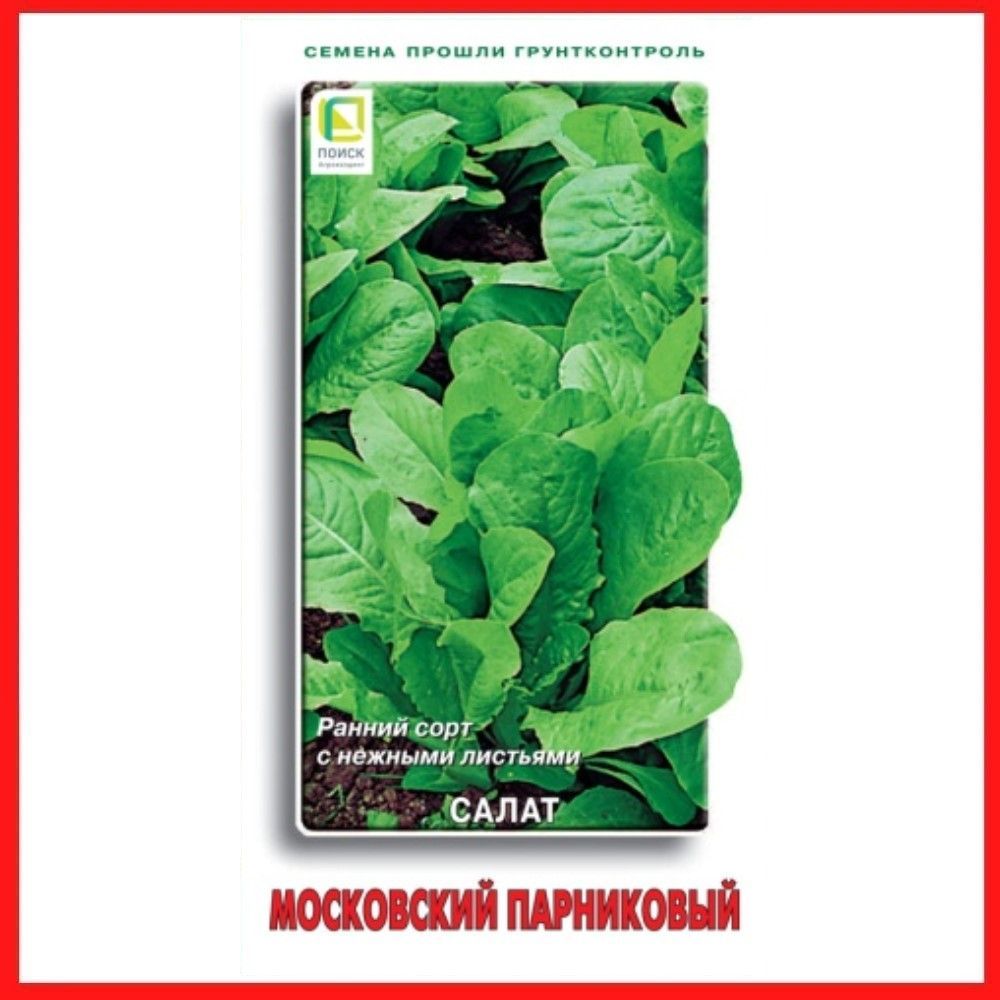 Сорт салата московский парниковый. Салат Московский парниковый. Салат Московский семена. Салат листовой Московский. Семена салат Московский парниковый.