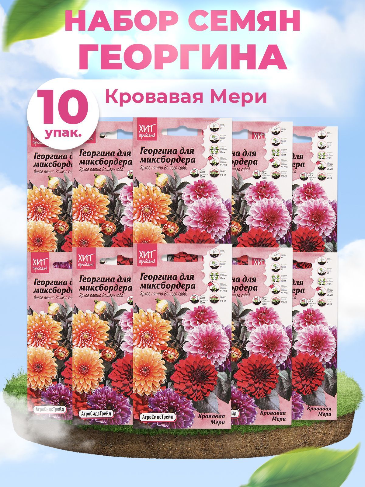 Георгины из семян фото. Георгины семенами.