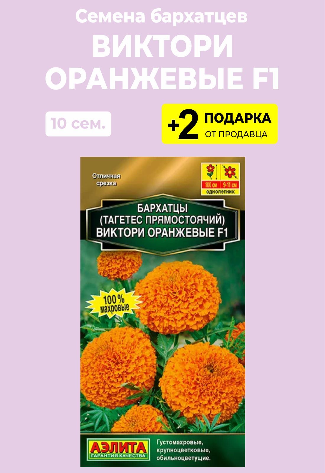 Бархатцы Оранжевый Снег