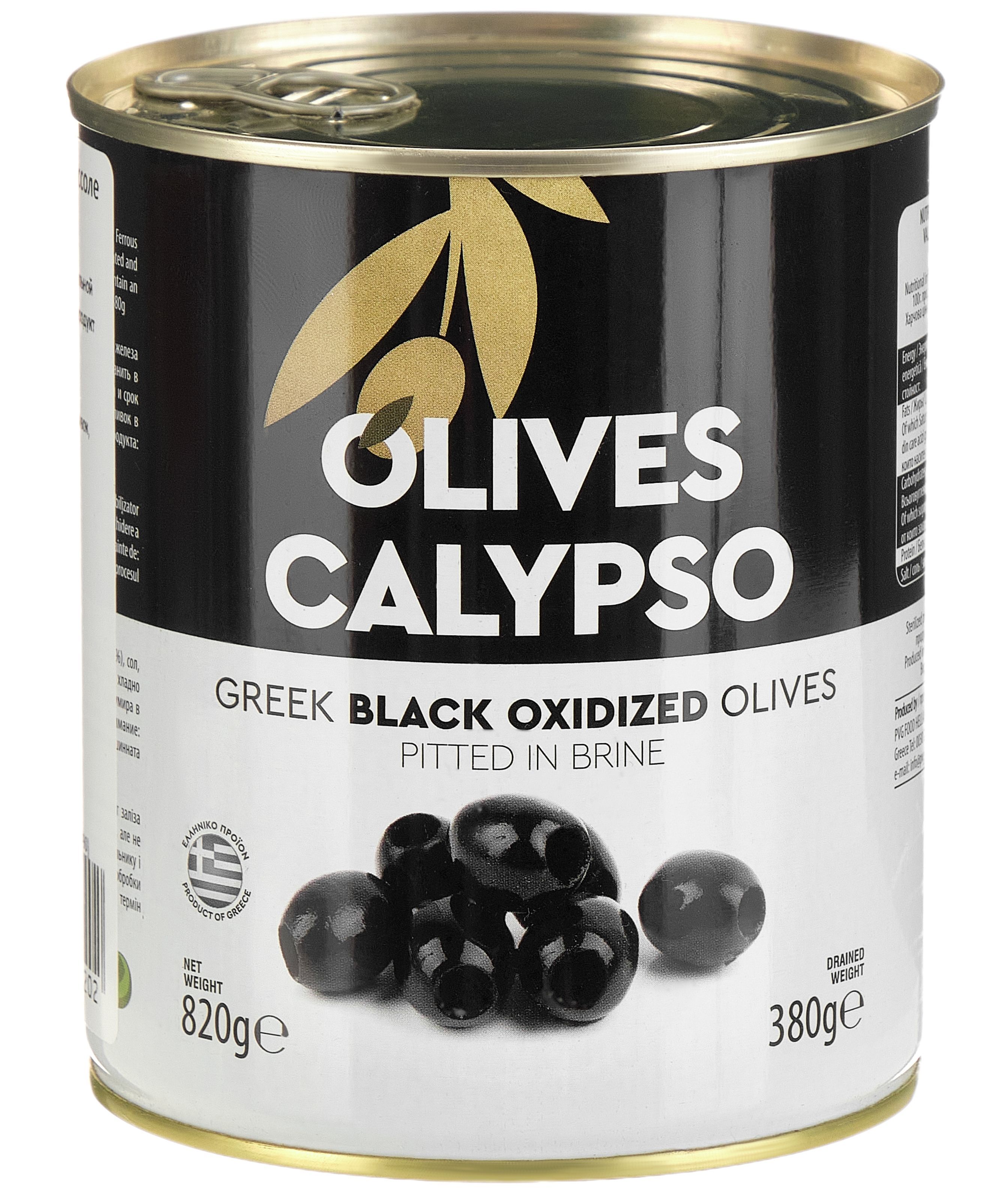 Calypso Black Webcam