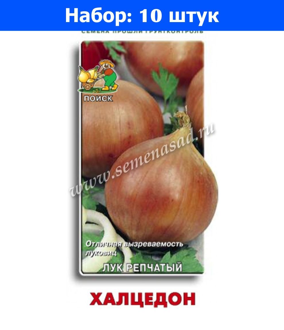Лук Халцедон Фото