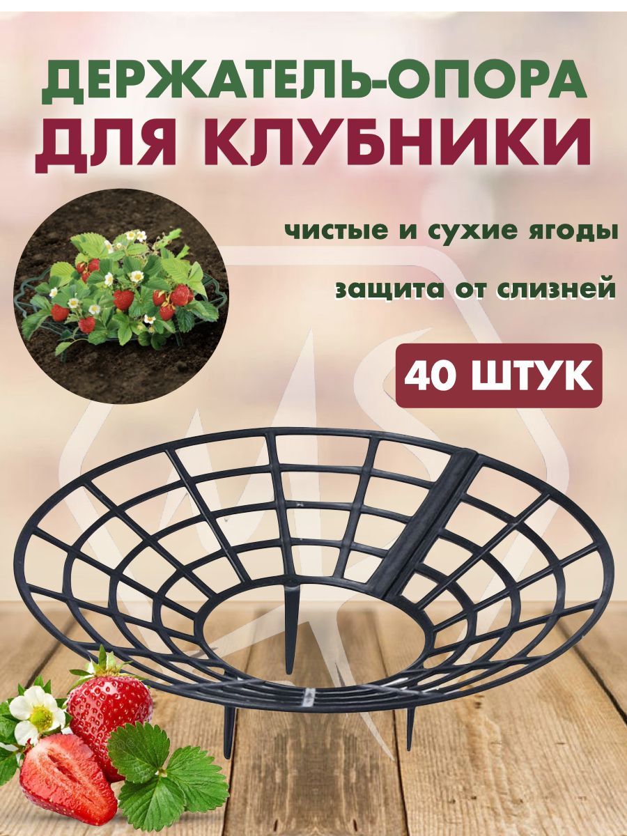 Опора для клубники. Опора для клубники корзинка. Держатель для кустов. Опора для клубники своими руками.